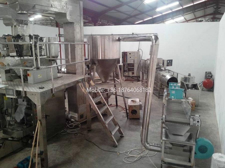 soya nugget processing line