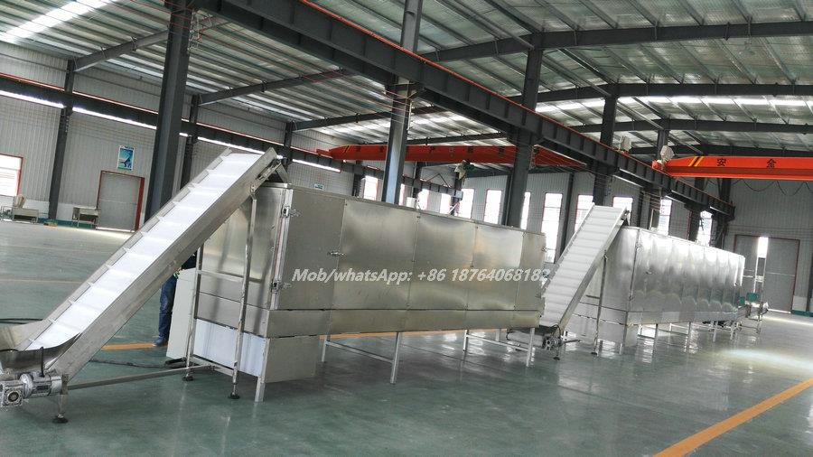 snacks drying oven