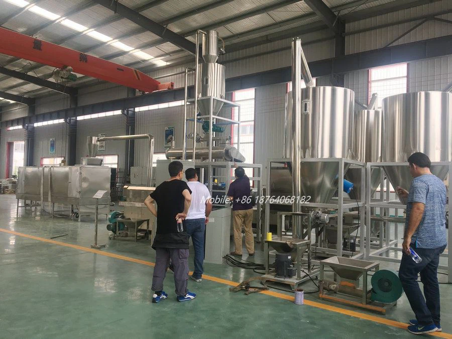 snacks food making machinery