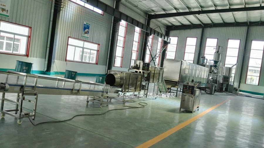 corn snack processing line