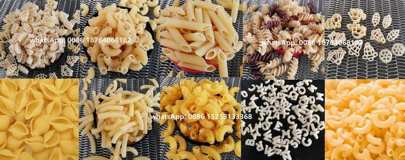 pasta processing line