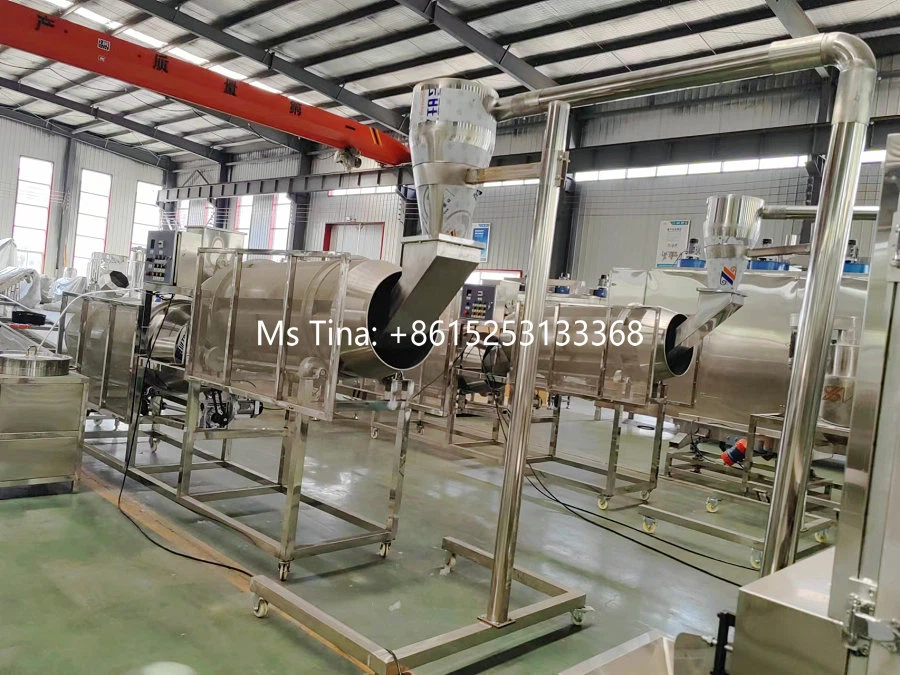 Corn Snacks Machine Corn Snacks Machine