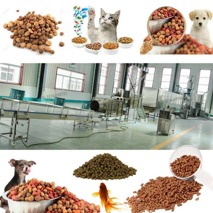 Extruders For Pet Food Processing