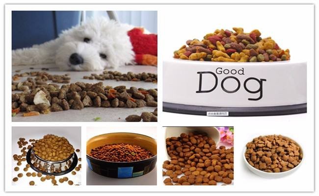 Multi-Functional Dry Dog Food Cat Food Fish Feed Processing Extruder