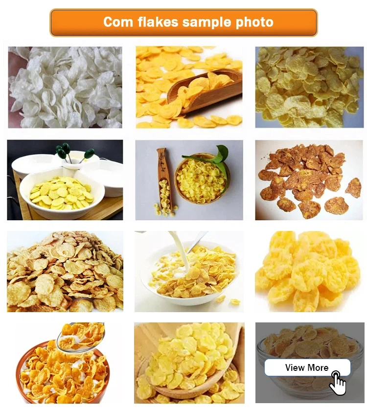 corn flakes sample corn flakes sample