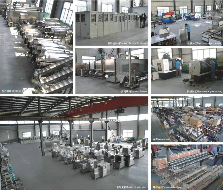 Company 01 Company 01
