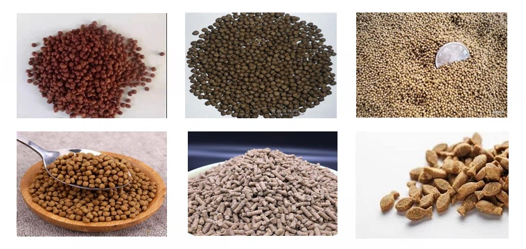 Floating fish feed 05 Floating fish feed 05