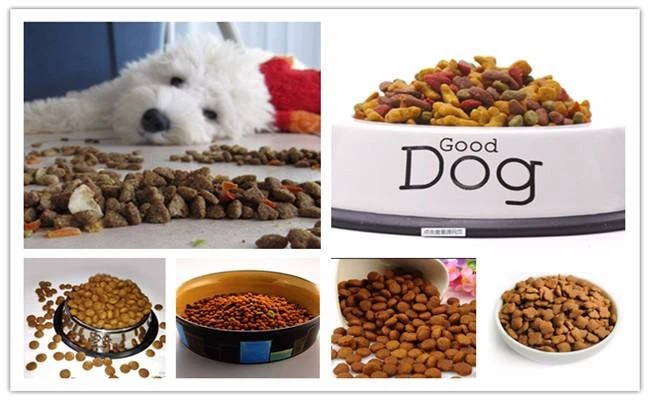 Smaller Capacity Pet Food Processing Line high quality